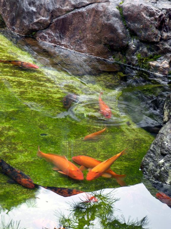 Oni No Sumika Hotell Izu  Eksteriør bilde